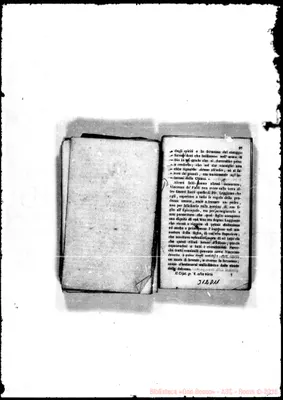 Fotogramma D 11