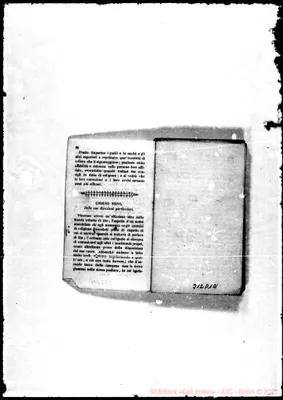 Fotogramma D 12