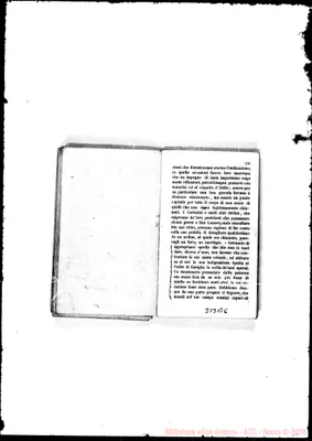 Fotogramma B 6