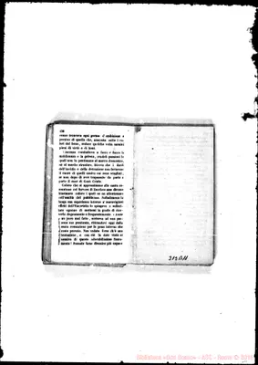 Fotogramma B 11
