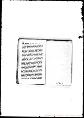 Fotogramma C 3