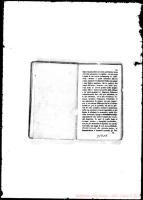 Fotogramma C 8