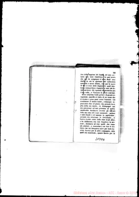 Fotogramma D 6