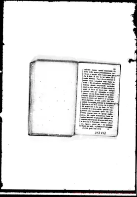 Fotogramma D 12