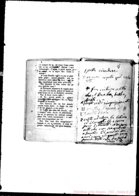 Fotogramma B 5