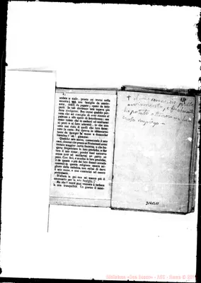 Fotogramma B 11