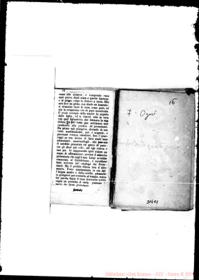 Fotogramma C 1