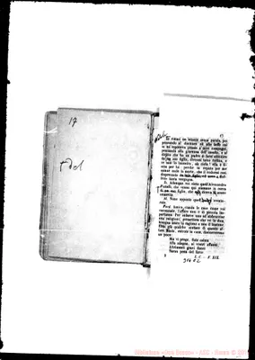 Fotogramma C 2