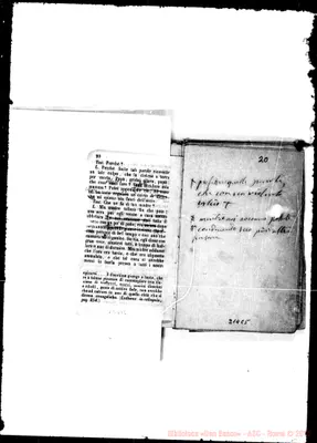 Fotogramma C 5