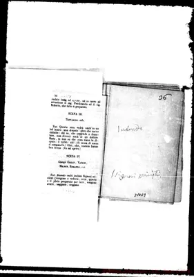 Fotogramma D 9