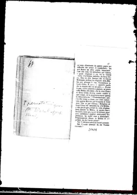 Fotogramma E 8