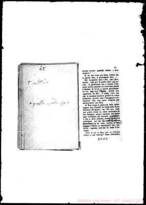 Fotogramma B 2