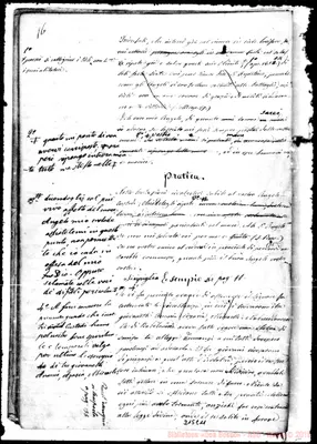 Fotogramma C 11