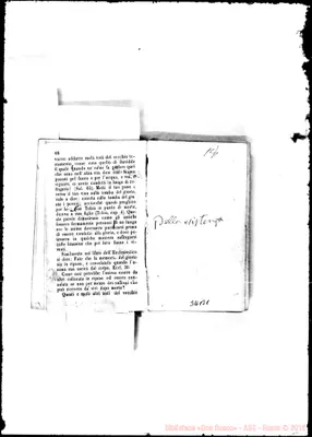 Fotogramma B 1