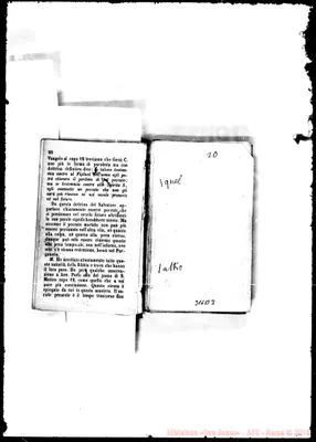 Fotogramma B 3