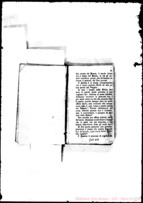 Fotogramma B 4