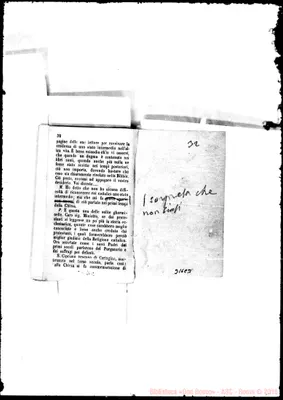 Fotogramma C 3