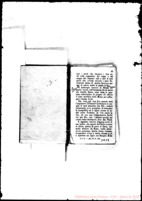Fotogramma C 4