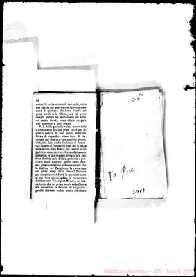 Fotogramma C 7