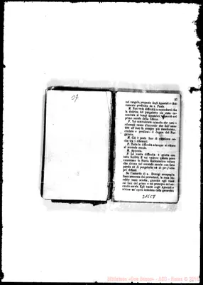 Fotogramma C 8