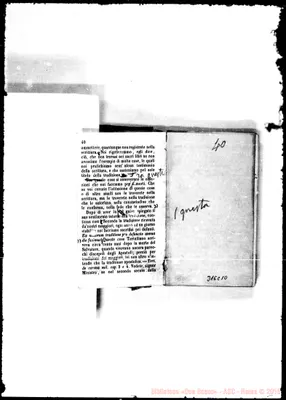 Fotogramma C 10