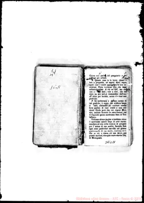Fotogramma C 11