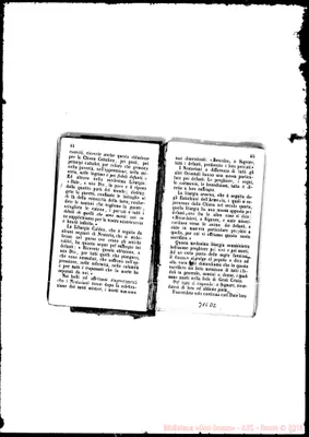 Fotogramma D 2