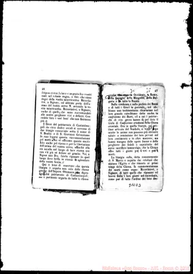 Fotogramma D 3