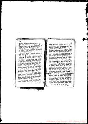 Fotogramma D 4
