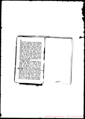 Fotogramma D 5