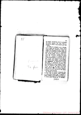 Fotogramma D 6
