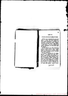 Fotogramma D 10