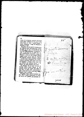 Fotogramma D 11