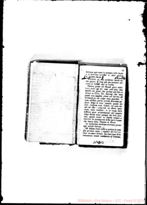 Fotogramma D 12