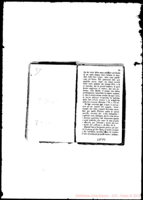 Fotogramma E 2