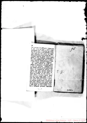 Fotogramma B 3