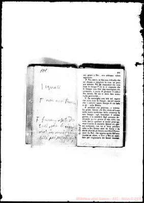 Fotogramma B 8