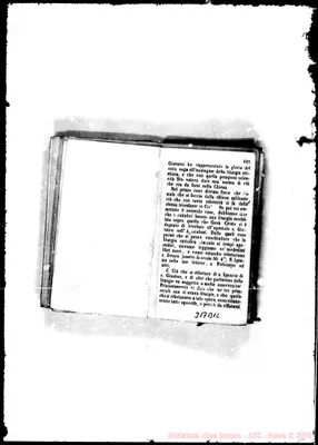 Fotogramma B 12