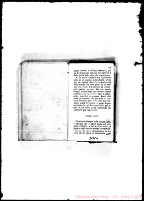 Fotogramma C 4