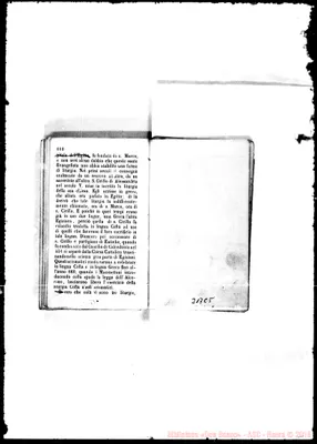 Fotogramma C 5
