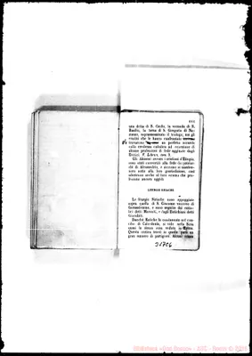 Fotogramma C 6