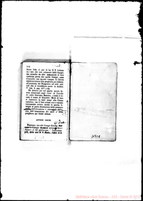Fotogramma C 8