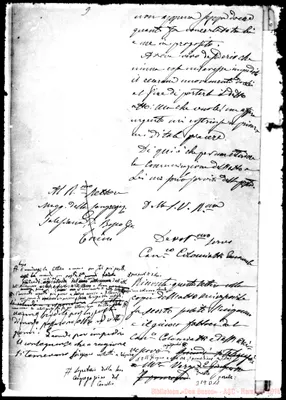 Fotogramma D 11