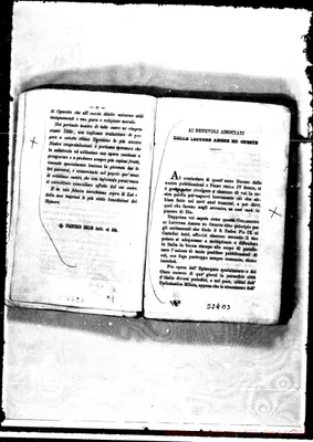 Fotogramma B 3