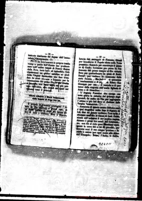 Fotogramma C 11