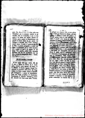 Fotogramma B 3