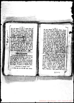 Fotogramma B 4