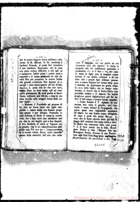Fotogramma B 8