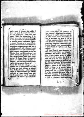 Fotogramma C 7