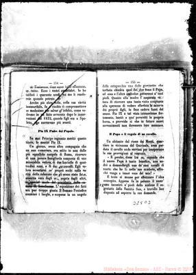 Fotogramma D 3